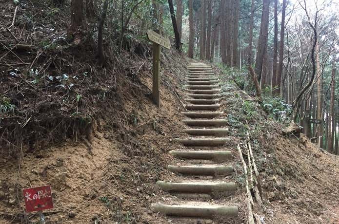 平石峠から岩橋山への道