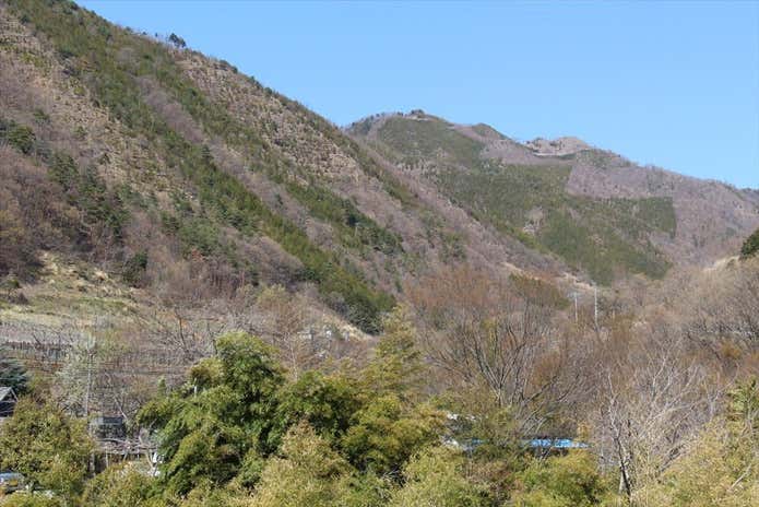 甲州高尾山の稜線