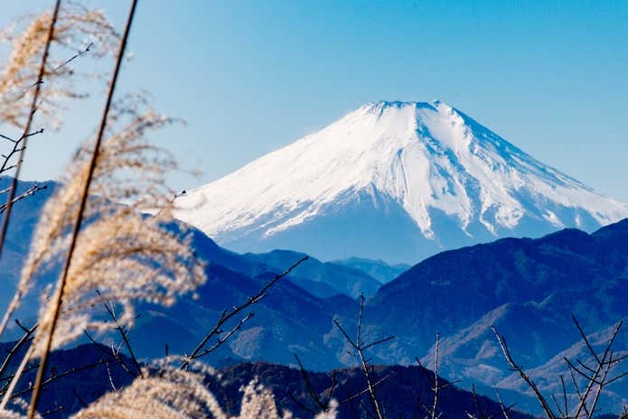 高尾山山頂から見る富士山