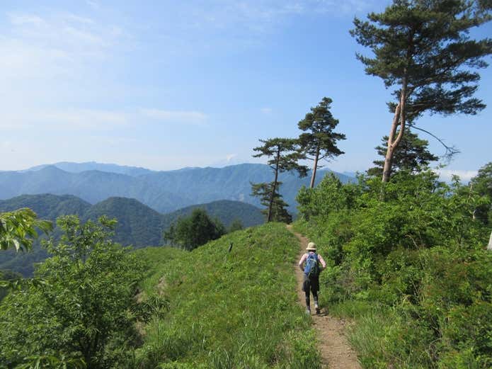 甲州高尾山登山道
