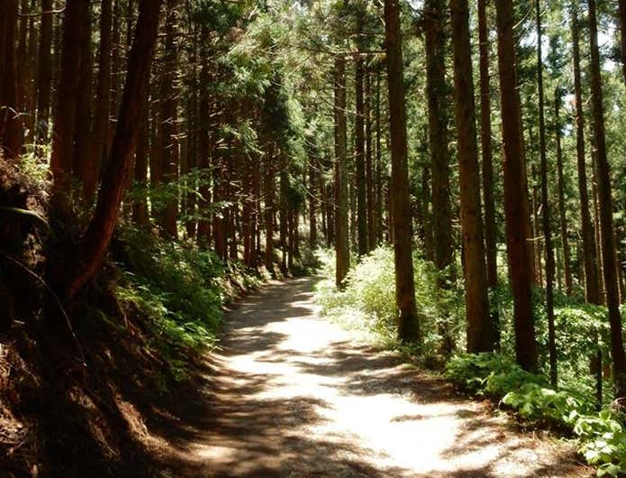 登山道