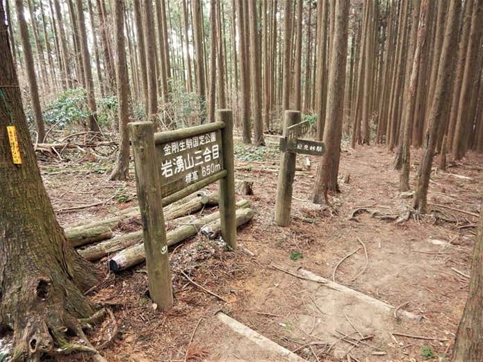 岩湧山三合目
