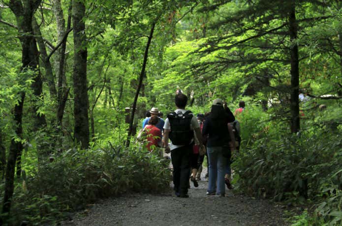 上高地を散策する登山者