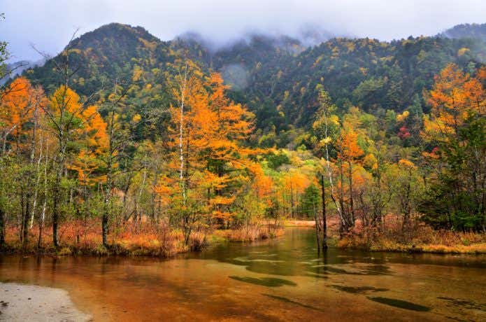 紅葉の紅葉(田代池)