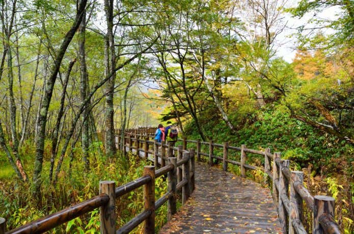 上高地のハイキングコース(上高地ツアー)