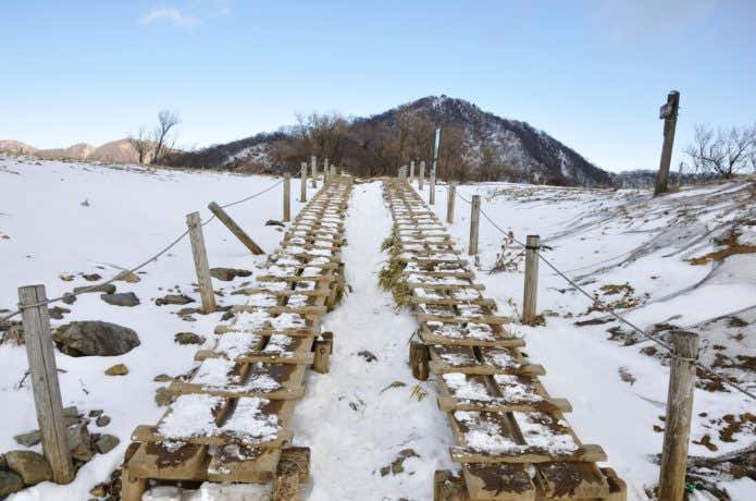 塔ノ岳に向かう木道