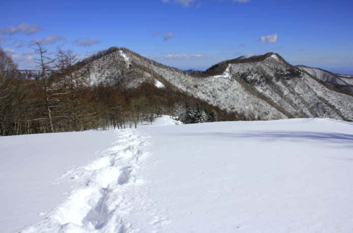 冬の鷹ノ巣山