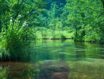 上高地の観光スポットの清水川