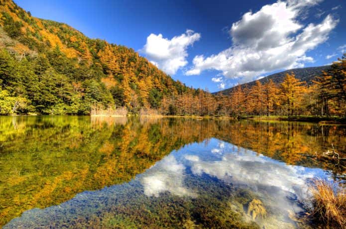 上高地の紅葉(明神池)