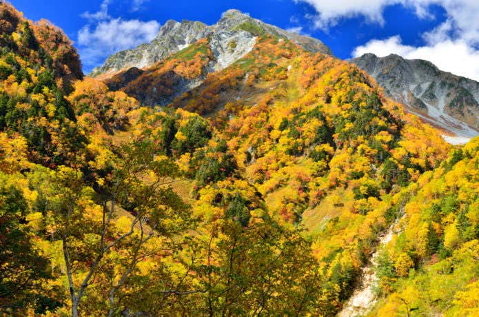 上高地の紅葉(北穂高岳)