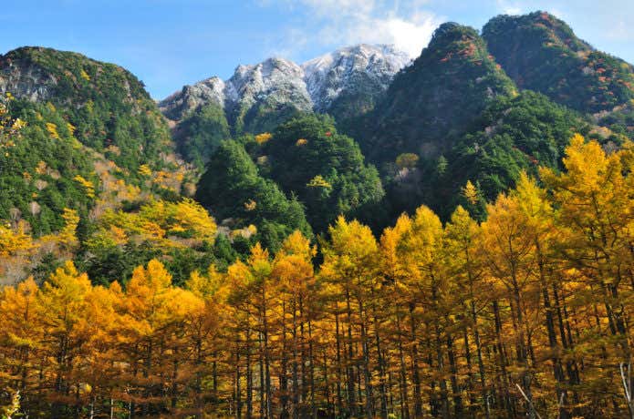 上高地の紅葉(霞沢岳)