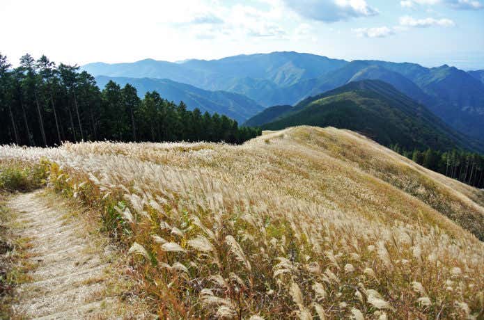 岩湧山