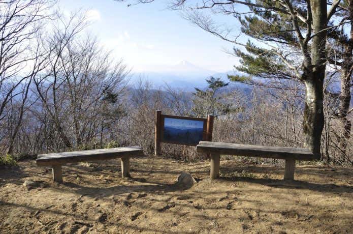 槇寄山山頂