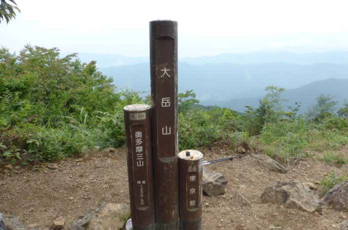 山頂からの展望