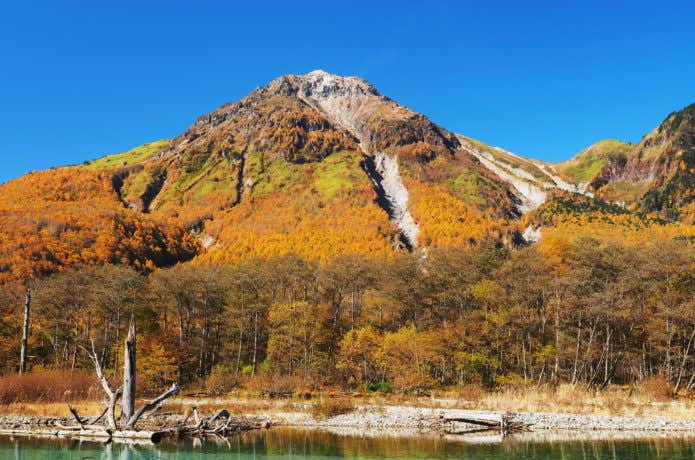 上高地の紅葉(焼岳)