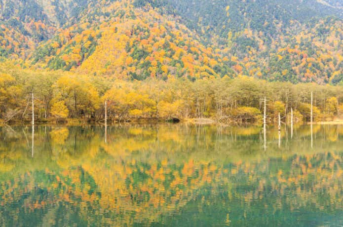 上高地紅葉(上高地の温泉情報)