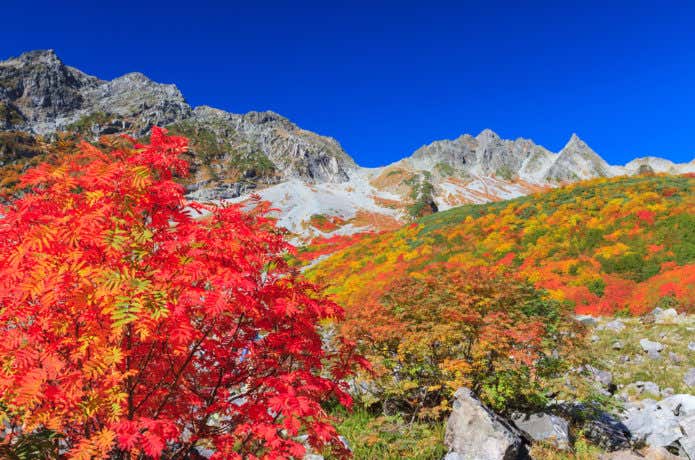 上高地の紅葉(涸沢カール)