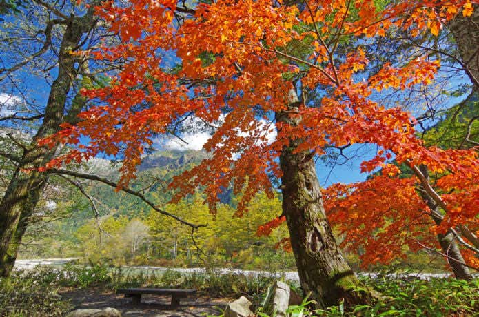 上高地の紅葉