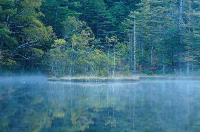 上高地の明神池の朝もや(上高地宿泊)