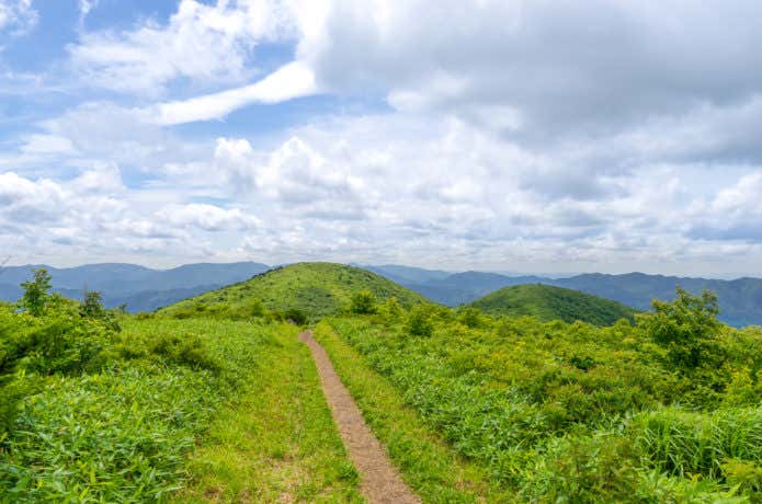道後山