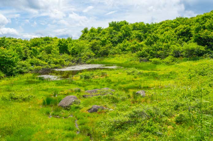 道後山