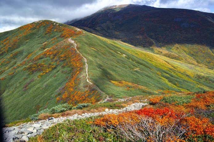 秋の月山