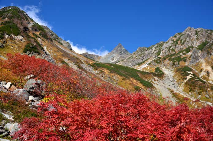 上高地の紅葉(槍ヶ岳)