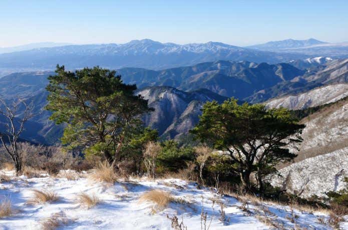 冬の金時山