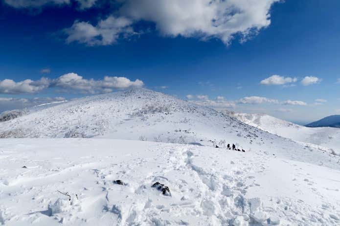 冬の霊仙山