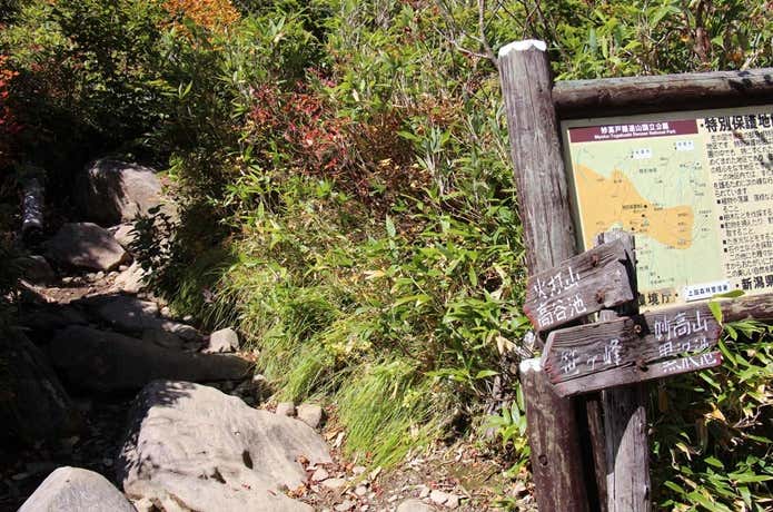 火打山の高島平