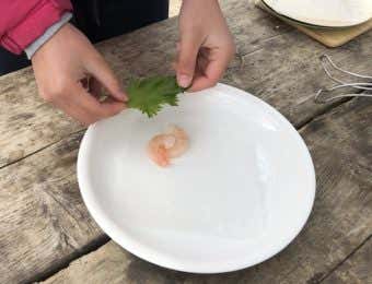 無印良品の生春巻き