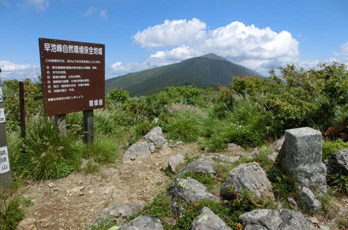 鶏頭山の山頂