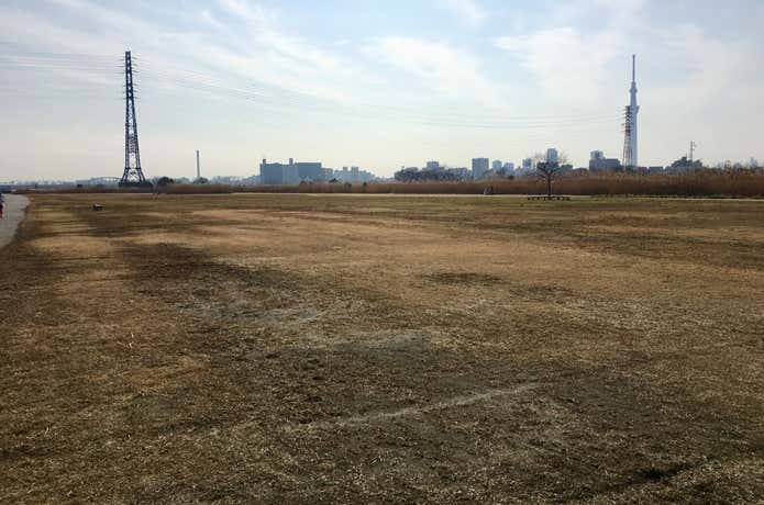 河川敷
