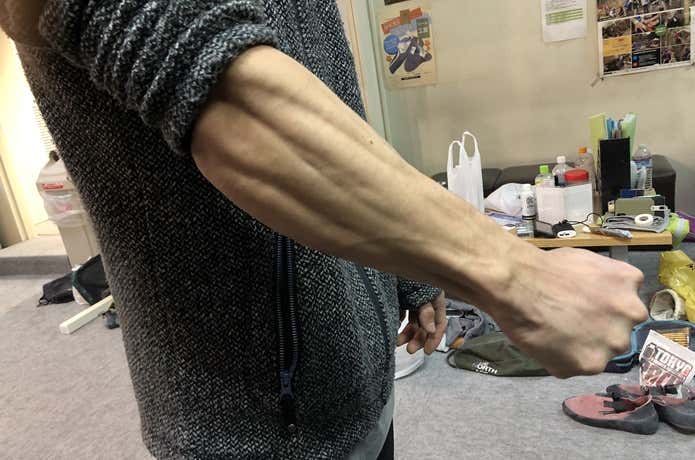前腕の筋