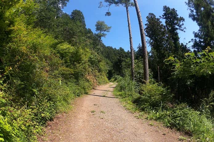 青空の登山道