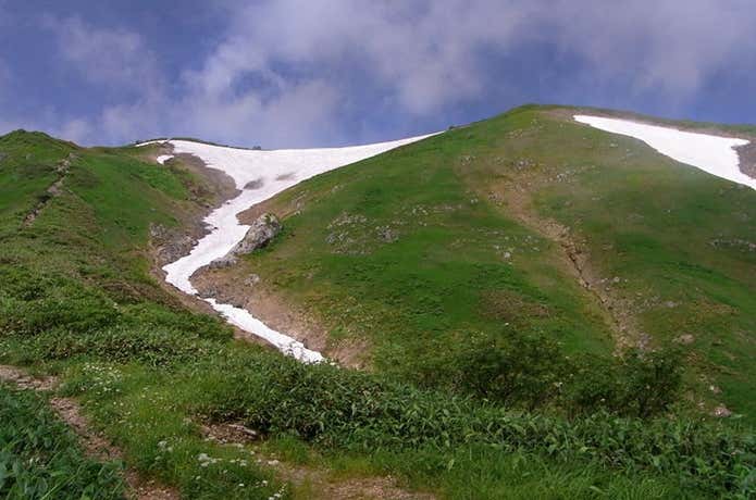 越後駒ケ岳の雪渓
