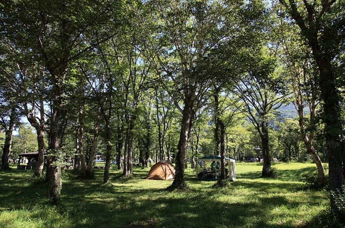 笹ヶ峰キャンプ場