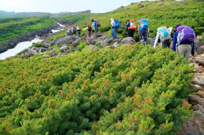 越後駒ケ岳 稜線を歩く登山者