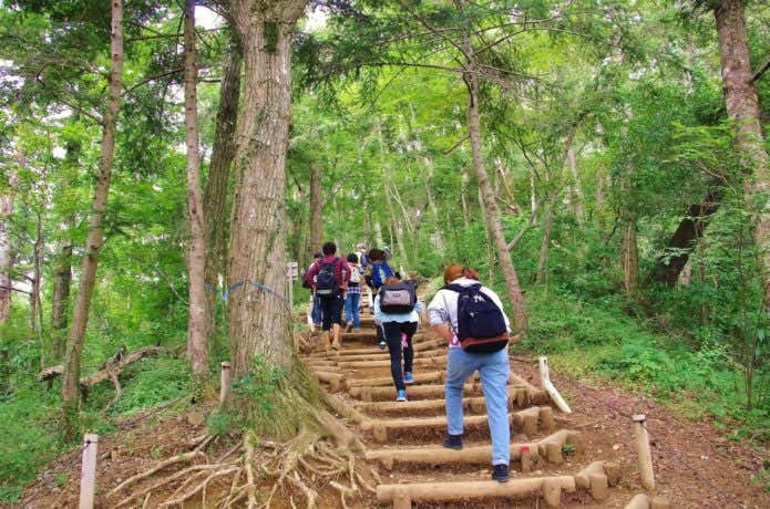 高尾山をハイキングする人
