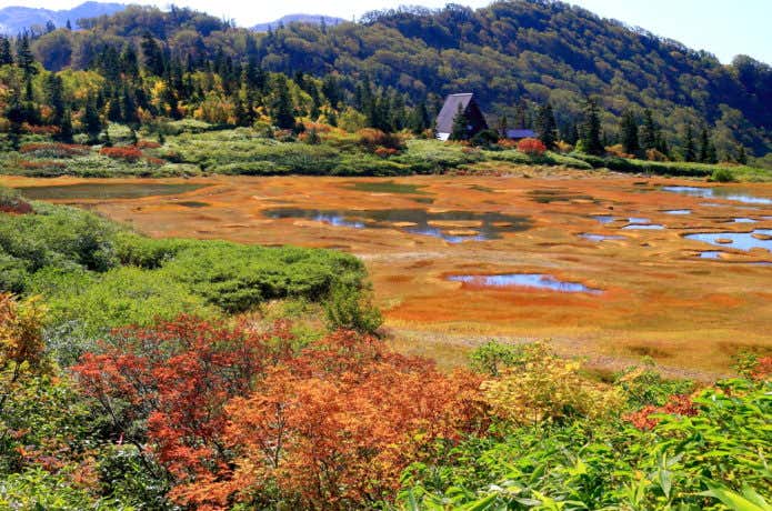 火打山の紅葉