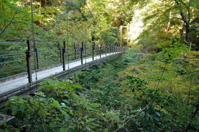 高尾山のハイキングコース4号路で歩ける吊り橋