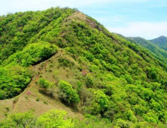丹沢山