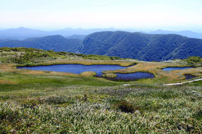 虎毛山山頂