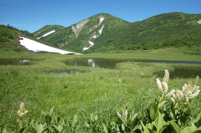 火打山