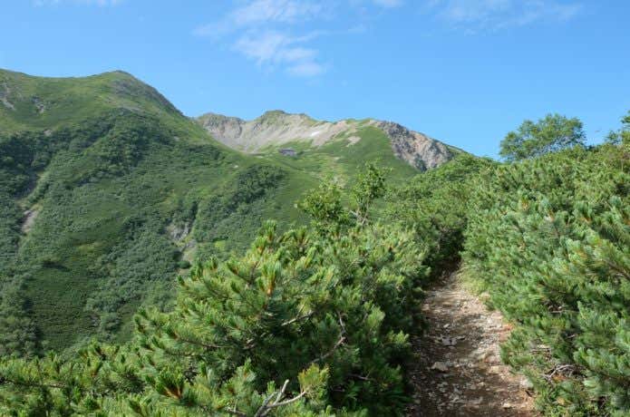 仙丈ヶ岳の登山道