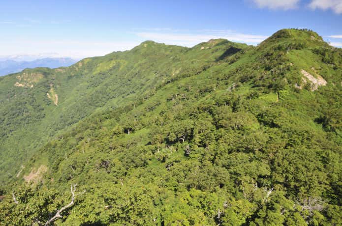 緑が綺麗な武尊山