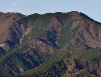 焼山　丹沢