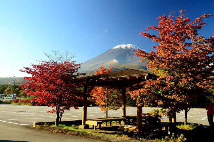 富士山スカイライン途中の水ヶ塚公園