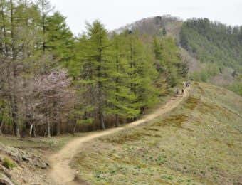 石尾根縦走路と七ツ石山