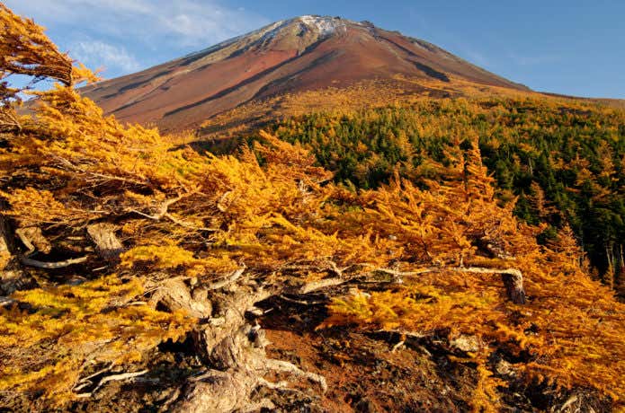 御中道の紅葉